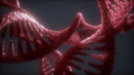 loop-double-helical-structure-of-dna-strand-close-up-animation